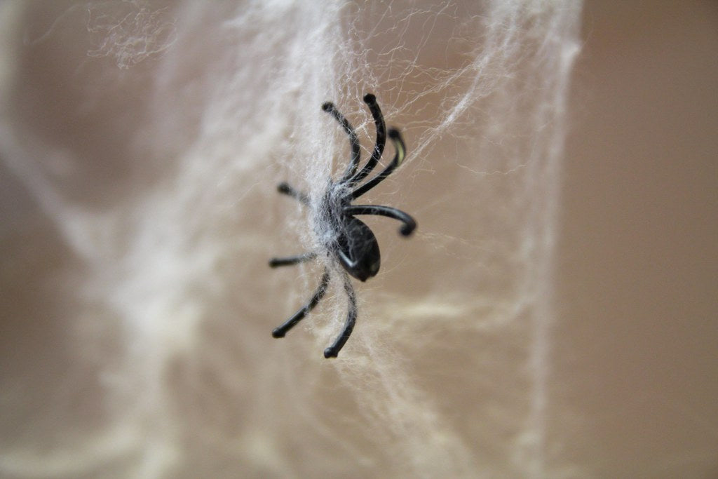 Stretch Cobweb Kit with 20 Spiders