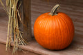 Front Step Pumpkin, Faux 12 in.