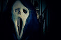 Ghost Face Mask, Molded