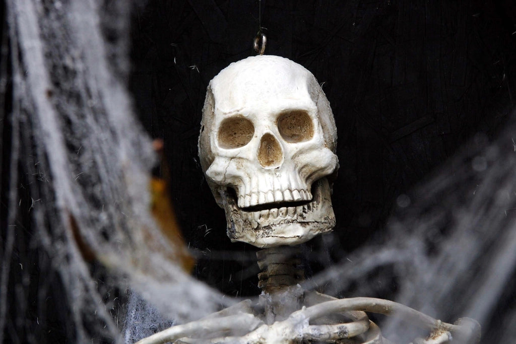 Cobweb Skull Mantel Piece