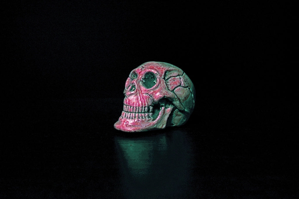 Painted Sugar Skull